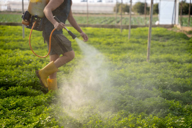  Beeville, TX Pest Control Pros