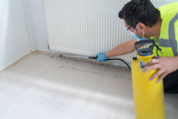 Best Best Pest Control Companies  in Beeville, TX